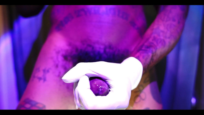 Hallelujah Johnson: Velké černé chlupaté uctívání ptáka Hallelujah Johnson (jako nahoře tak dole)