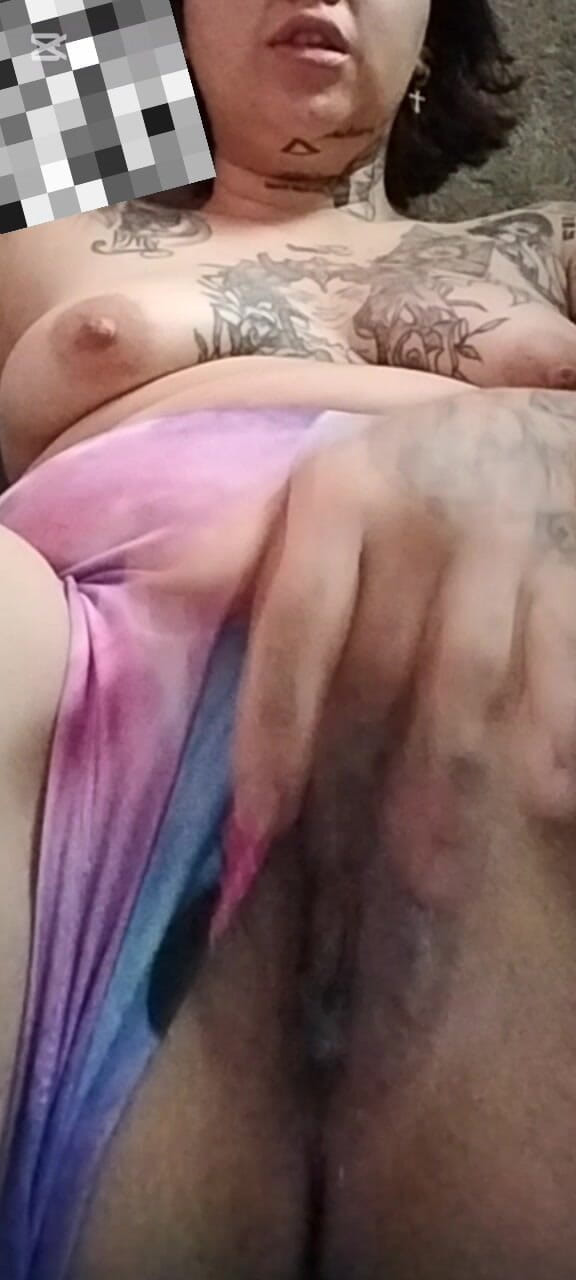 Dalyla: Sữa Latinh