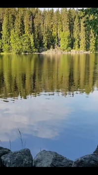 Summer Mornings Are the Best