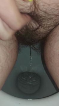 Pee Pissing in the Toilet