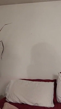 Desperate Amateurs Bea Gets Her Tight Pussy Banged Hard by Big Cock