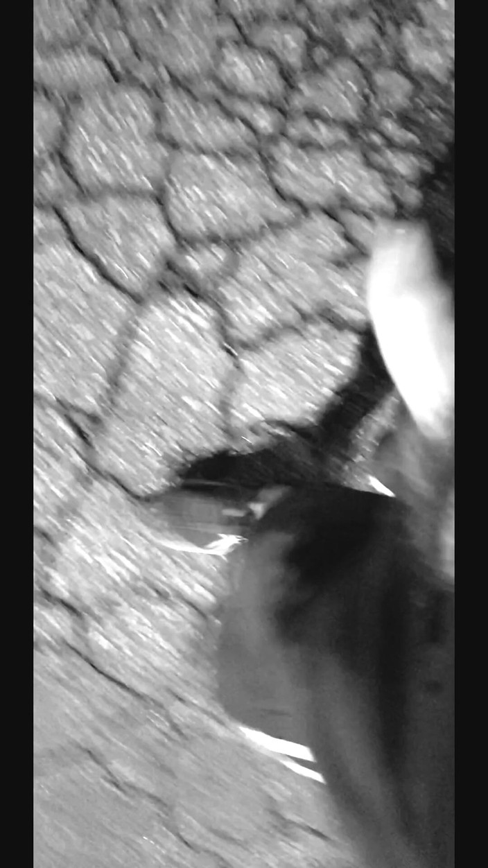 BBIG: Гола на вулиці