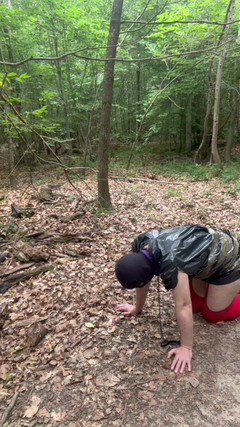 Maitresse Clara: Hukuman Di dalam hutan...