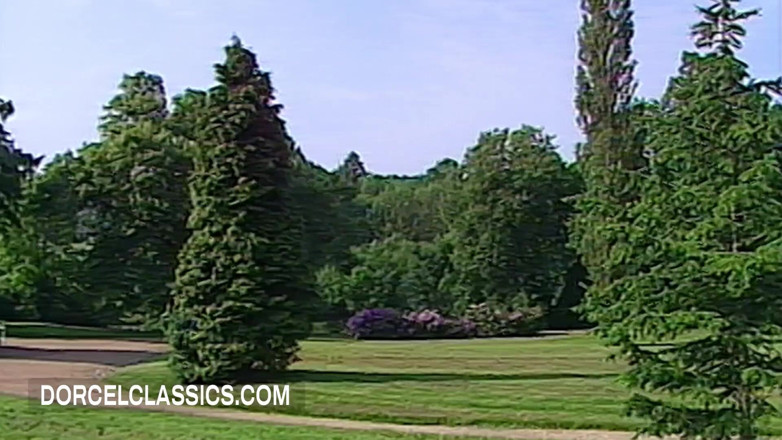 Dorcel classics: Un giro in macchina imperzioso