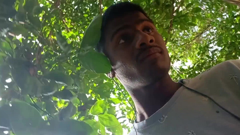 LinearOrnament35: Mangal Bhola Sexy Boy in Jungle