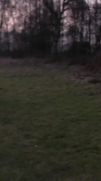 Scarlett March, MILF échangiste, suce un dogger dans les bois