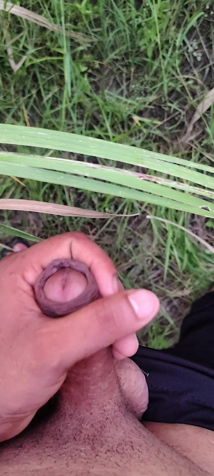 Desi x nexon: Masturbarse en el campo de caña de azúcar