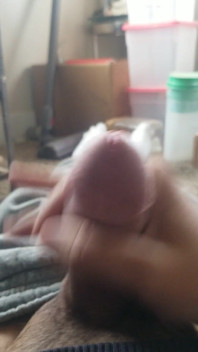 Morning Wood