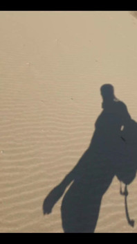 Beach Walk