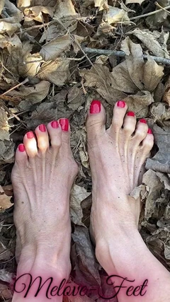 Melove sexy kleine voeten met rode teennagels in de bladeren