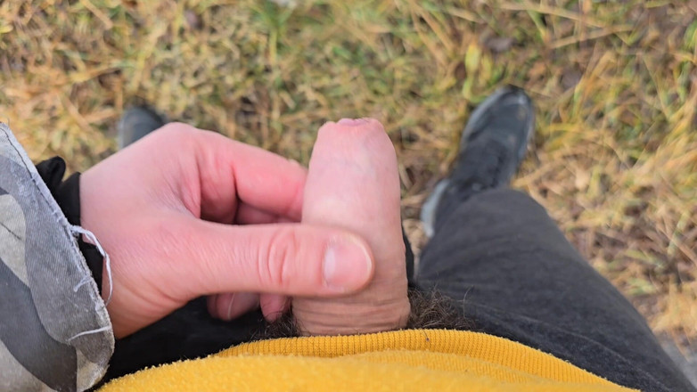 Alpha pee king: 少しリスクのあるおしっこ - 視点:自然散策中の屋外の男性のおしっこ