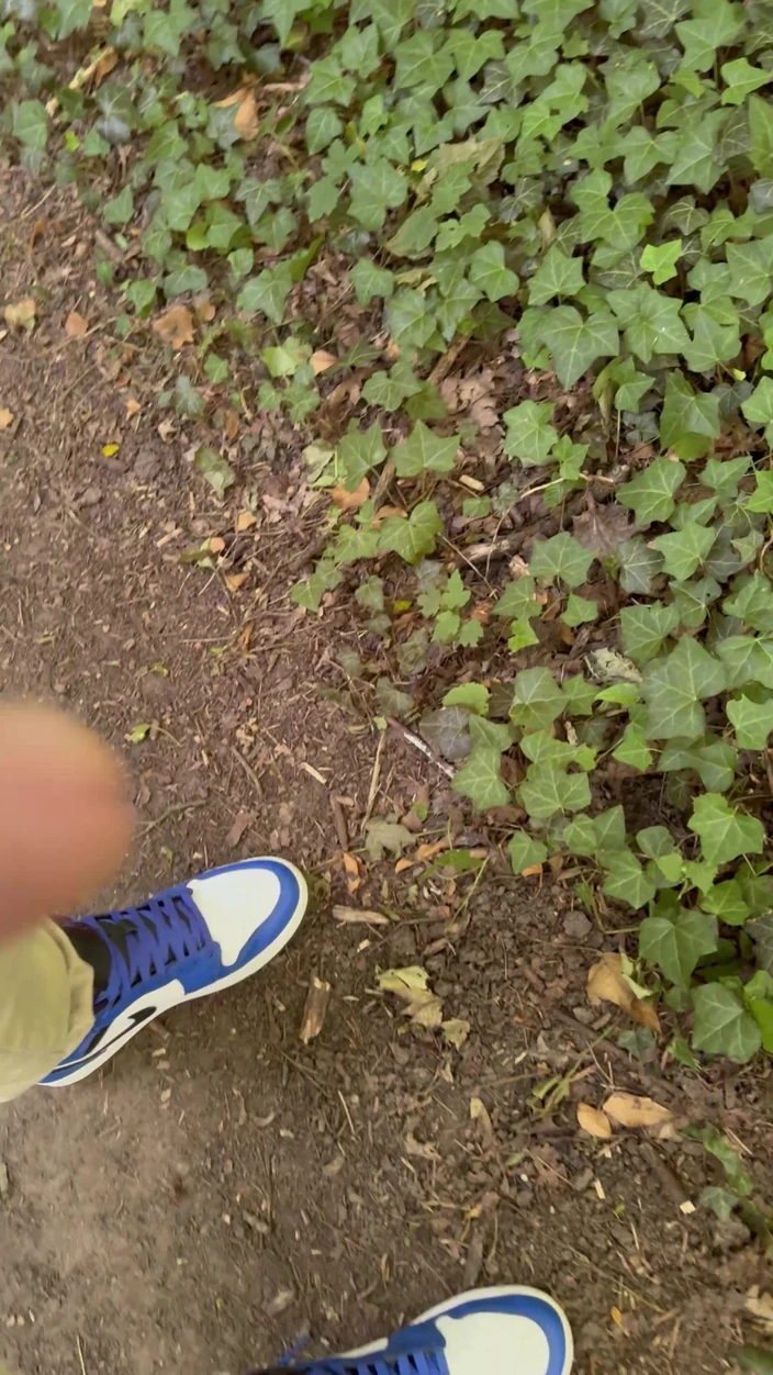 mekcho92000: Walk in the Forest