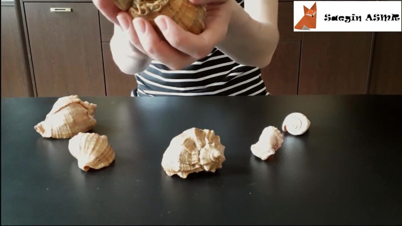Saegin: 2[ASMR] bergesel bersama dan menggaru seashells (tiada bercakap)