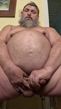 Bear Bate