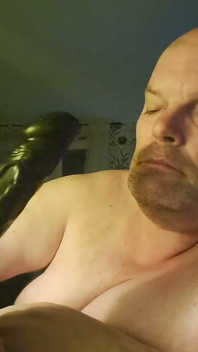 Insert for the Ass Destroyer at the Bitch