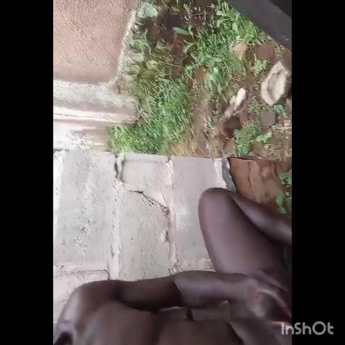 Hongi: Urla e solo