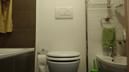 RavenBigAss: Sammlung: Drei kameravideos beim toilettengang