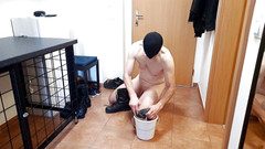 Master Drex: Pro práci a hru