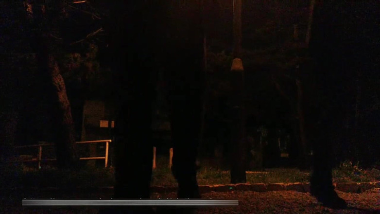Toilet Mommy: Sub slut trained in park