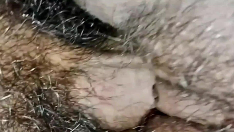 Js Creator: Yeni Vabi uzun zamandır cinsel olarak sert sikişiyor