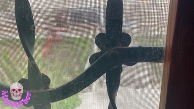 Mayay Thor X: Doručovatel mi pomáhá a výměnou ho ošukám a nahrávám to...