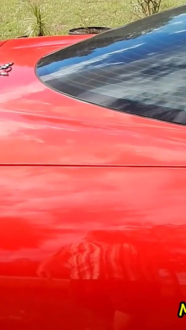 Ms Paris and Friends: 그녀의 모터를 뜨겁게 따먹는 Corvette Revving