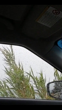 A Simple Car Ride and I Get Horny Part.1