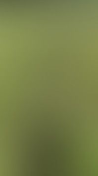 Corn Field Naked Run