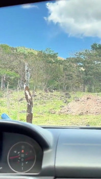 Sexy MILF Desperate for Money Gets Boned by Farmer - POV