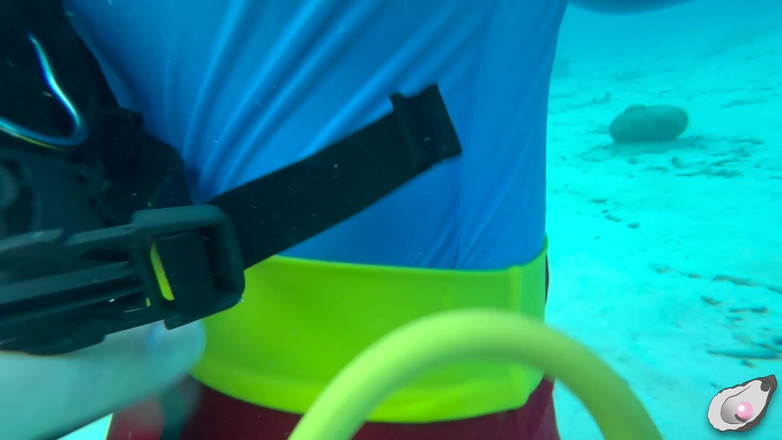 Mistress Pink Pearl: 보네르에서 가장 발정난 문어를 만나는 슈퍼걸