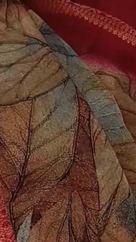 Video completo: Dare il Viagra al cognato e scopare duro