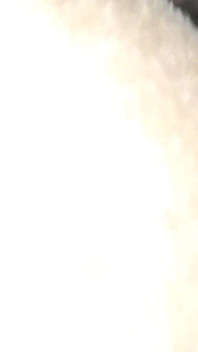 Siamo andati ad incontrarmi alle 4 del mattino e non ho potuto fare il video correttamente di fretta a causa della paura