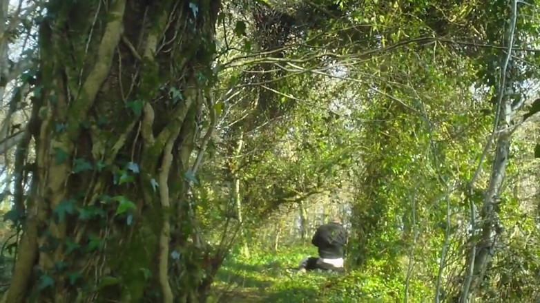 Movies by Louise: Another day trip to wales