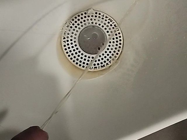 Guru of Pissing (Bayer)