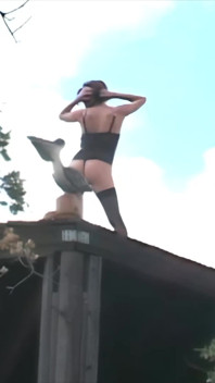 Трахнули в задницу, том 4