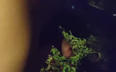 Nude Walking in a Park on the Side of a Busy Highway and Peeing