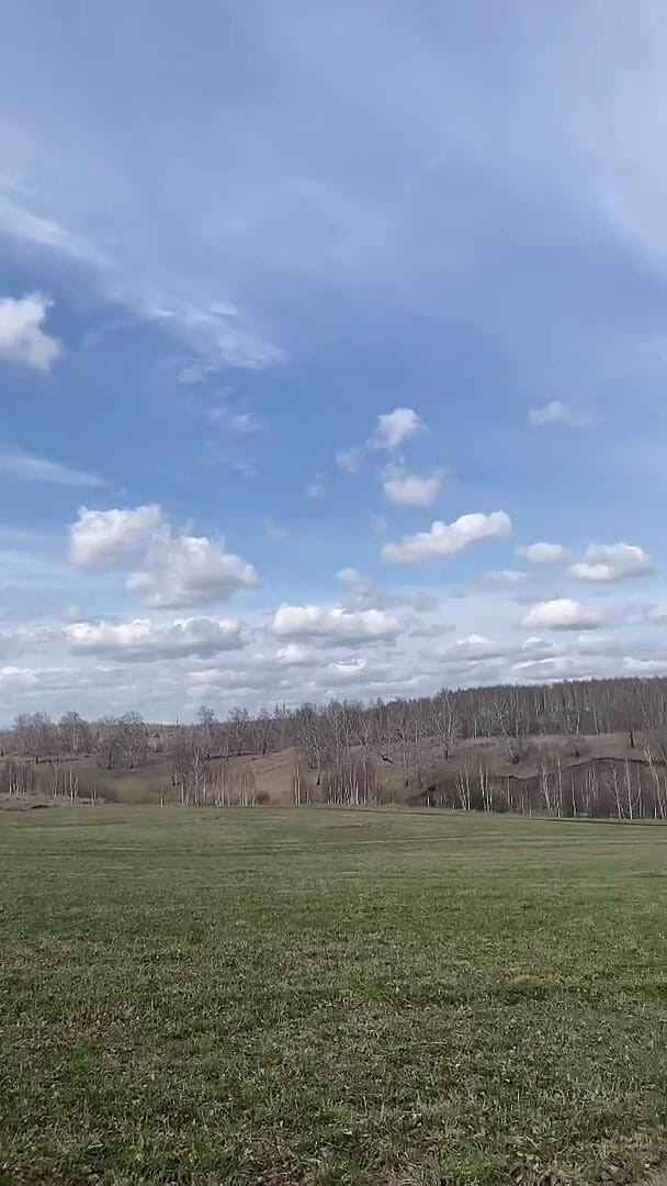 Picnic (Vikki Georgia)
