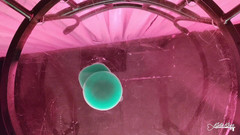 Kyla Keys: Una vista dal basso