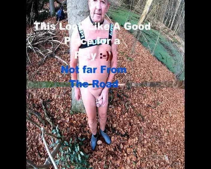 Andy: Hutan bagian 2