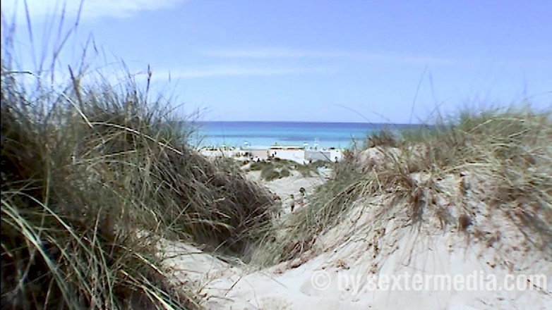 Beachbitches: Teeny Rejoint Sex Games on the Beach