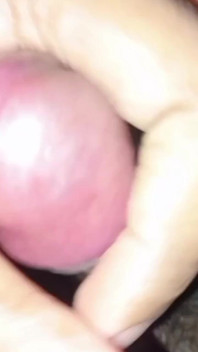 Suck My Cock Very Hard