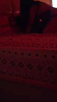 Happy Diwali with Bhabhi Part 2