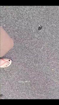 Walking on Gravel