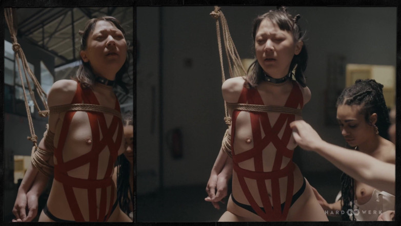 HardWerk: Triptychon 6