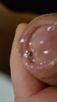 Labă frumoasă în grădină și o mulțime de spermă
