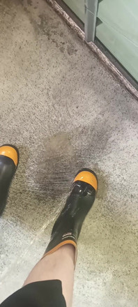 Pissing on Steel Toe Black Rubber Wellies