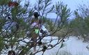 Viewer cam by Sextermedia: Beata la salope de plage seule dans les dunes