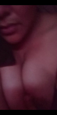 Shenanigans From the Socials