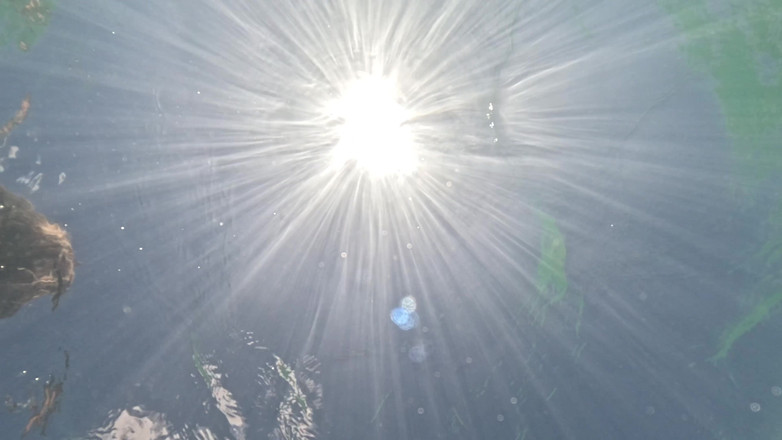 Emma Voyeur: Undervattens Fitta Spela Med En Plug