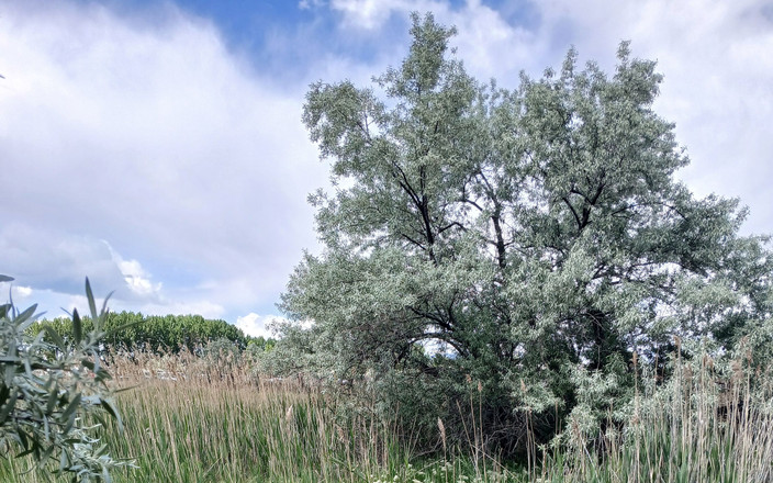 Jasonkw73: Venku to víš